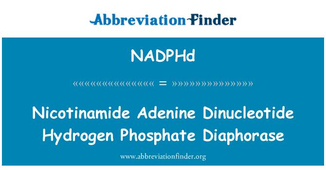 NADPHd: نیکوتین آمید آدنین دی نوکلئوتید فسفات هیدروژن Diaphorase