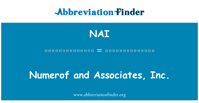 NAI: Numerof and Associates, Inc