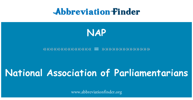 NAP: Národná asociácia poslancov