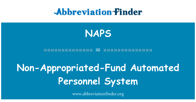 NAPS: 非撥基金自動化人事制度