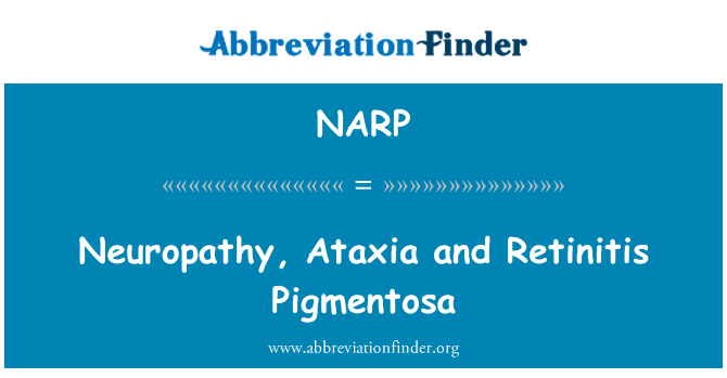 NARP: Neuropathie, Ataxie und Retinitis Pigmentosa