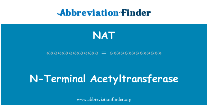 NAT: Terminal N acetiltransferase