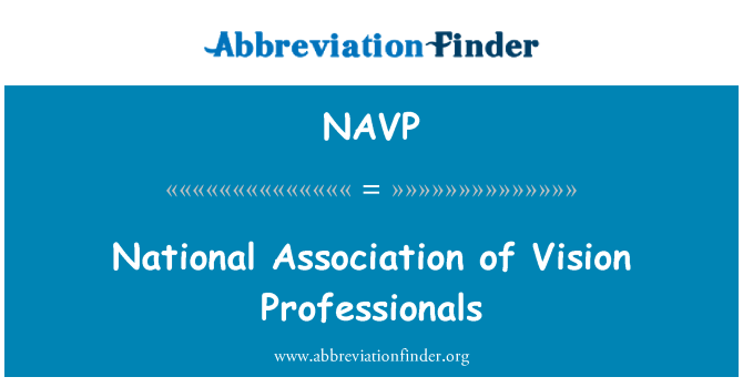 NAVP: Národní asociace profesionálů, vize
