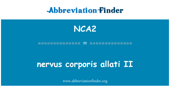 NCA2: nervus dermatophytie allati II