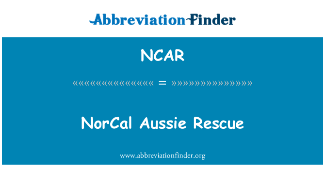 NCAR: NorCal 호주 구조