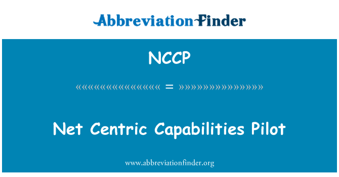 NCCP: NET Centric Funktionen Pilot