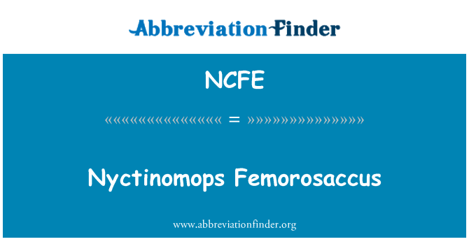 NCFE: Nyctinomops Femorosaccus