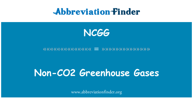 NCGG: 非 CO2 温室气体