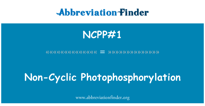 NCPP#1: Photophosphorylation di cylchol