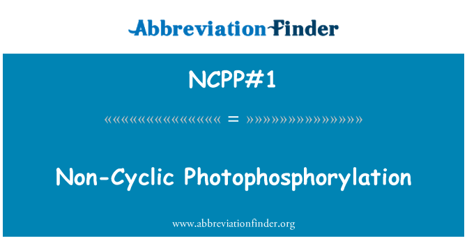 NCPP#1: Nicht-zyklische Photophosphorylierung