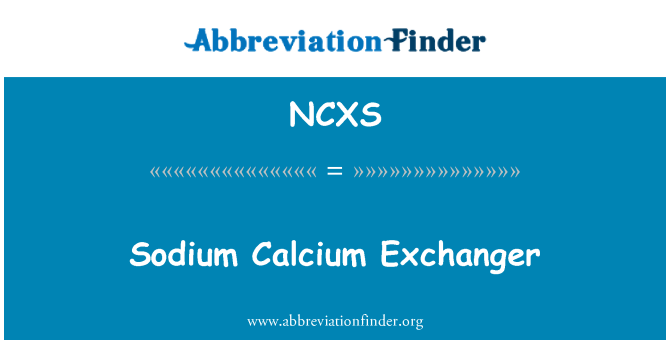 NCXS: แลกเปลี่ยนโซเดียมแคลเซียม