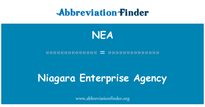 NEA: Niagara Enterprise Agency