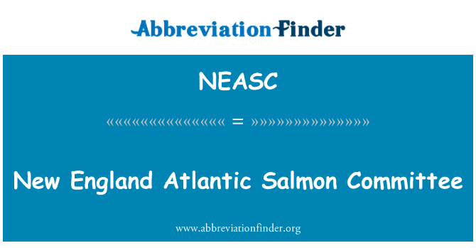 NEASC: L-Ingilterra New salamun Atlantiku Kumitat