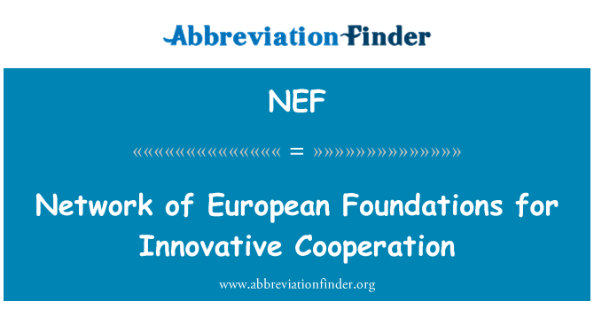 NEF: Rezo de Fondations Ewopeyen pou kòperasyon Innovantes