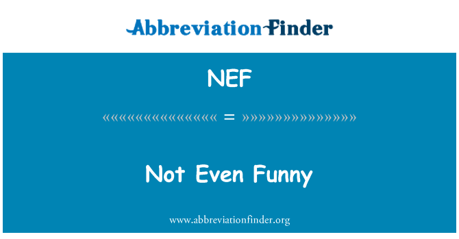 NEF: Non è divertente