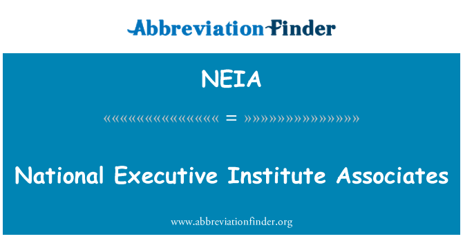NEIA: Enstiti egzekitif nasyonal pou Associates