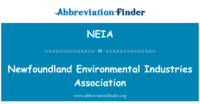 NEIA: Asosyasyon anviwònman endistri Newfoundland