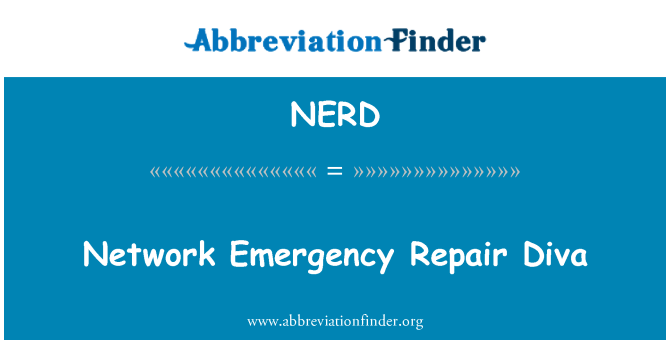 NERD: Network Emergency Repair Diva