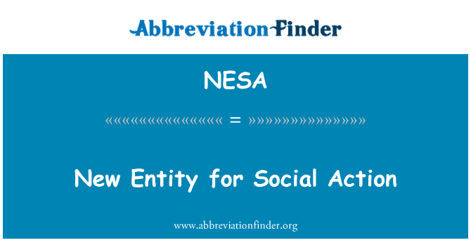 NESA: ישות חדשה בפעילות חברתית