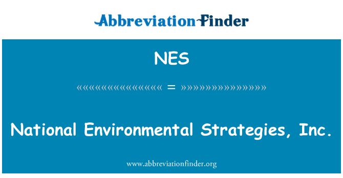 NES: Národní environmentální strategie, Inc.