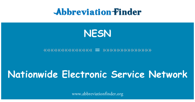 NESN: Landsdækkende elektroniske servicenet