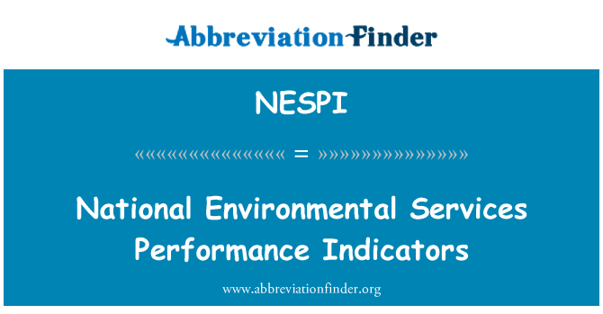 NESPI: Indicatori di prestazione di servizi ambientali nazionali