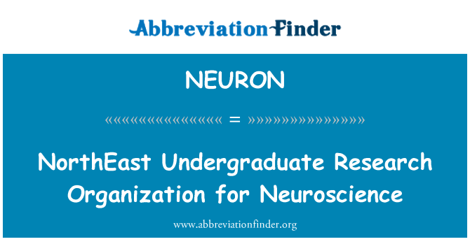NEURON: तंत्रिका विज्ञान के लिए उत्तर पूर्व स्नातक अनुसंधान संगठन