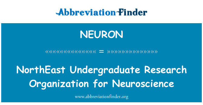 NEURON: Organizzazione di ricerca a nord-est dello studente non laureato per le neuroscienze