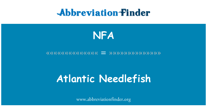 NFA: Atlantik Needlefish