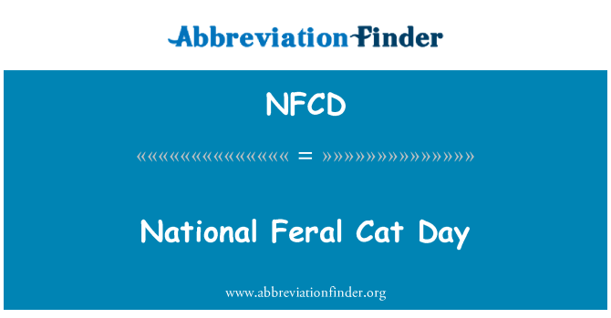NFCD: Nasjonale Feral katten dag