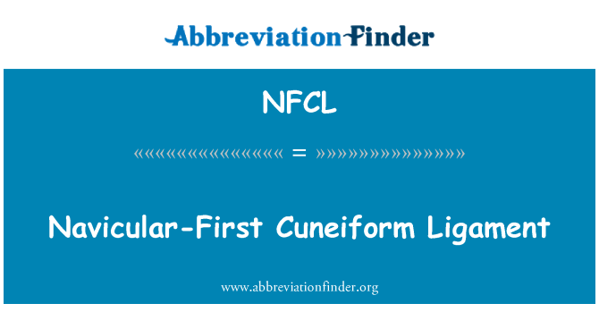 NFCL: Ligamento cuneiforme navicular-primera