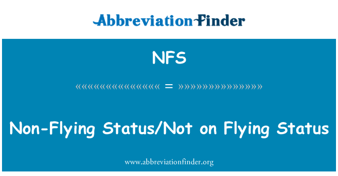NFS: Non-Flying Status/Not on Flying Status