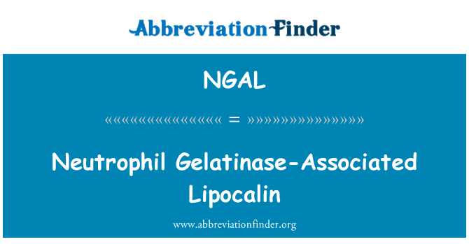 NGAL: Lipocalin neutrophil Gelatinase-assoċjati