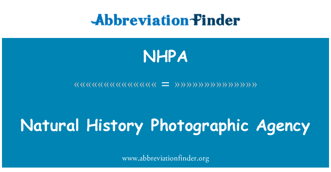 NHPA: Agenzia fotografica di storia naturale
