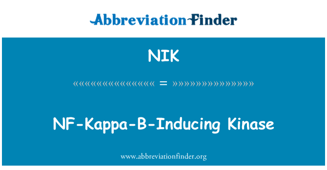 NIK: Indurre NF-Kappa-B chinasi