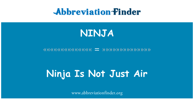 NINJA: 忍者并非只是空气