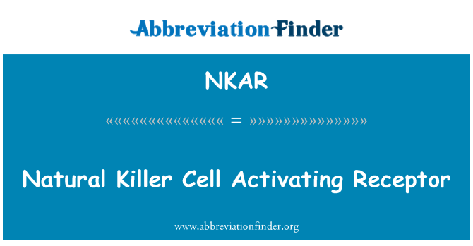 NKAR: 自然殺傷細胞活化受體