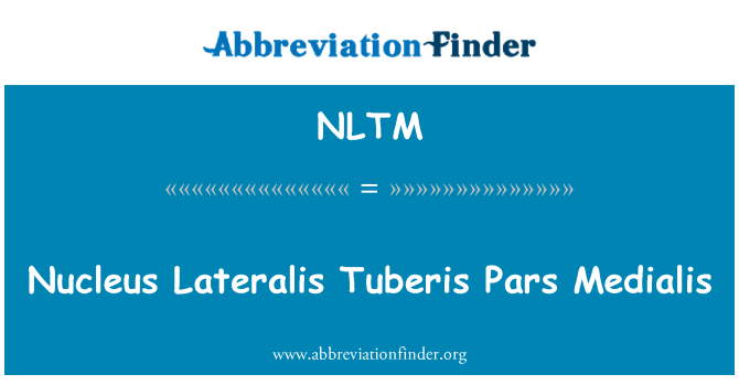 NLTM: 핵 Lateralis Tuberis Medialis 갈 거 예요