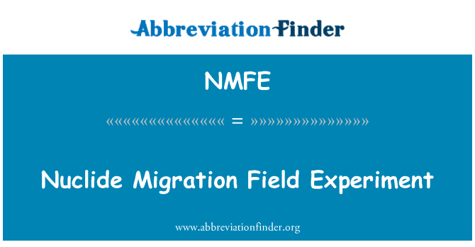 NMFE: Nuclide migrazione esperimento sul campo