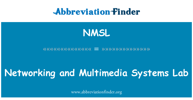 NMSL: Sieciowe i multimedialne systemy Lab