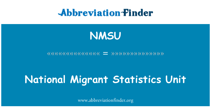 NMSU: National Migrant Statistics Unit