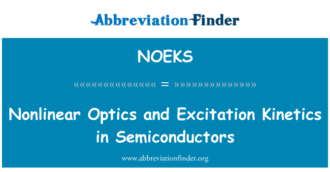 NOEKS: Nonlinear Optics and Excitation Kinetics in Semiconductors