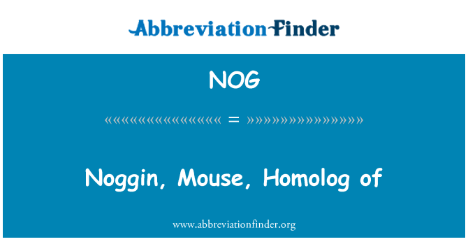 NOG: Noggin, tetikus, Homolog daripada
