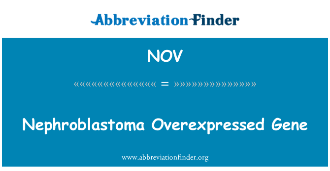 NOV: Nephroblastoma Overexpressed Gene