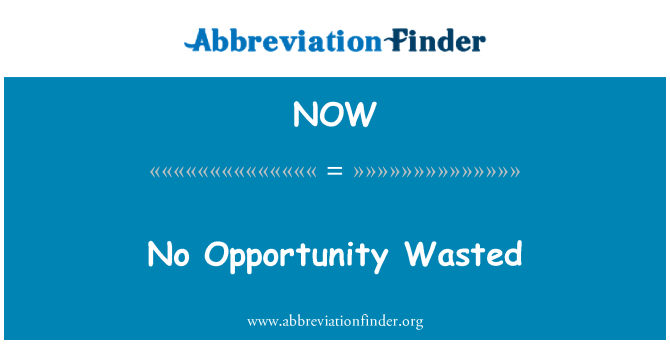 NOW: No Opportunity Wasted