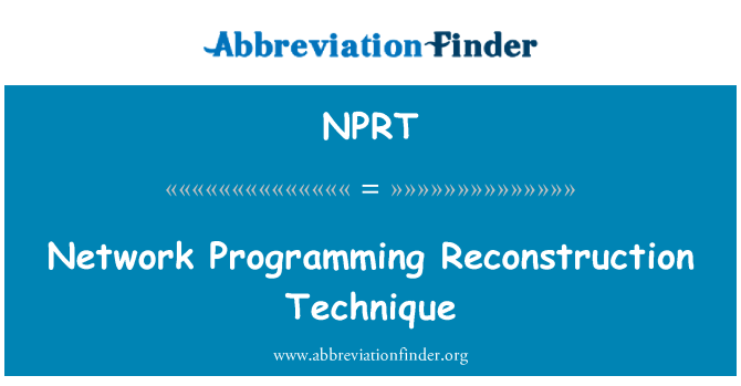 NPRT: Network Programming Reconstruction Technique