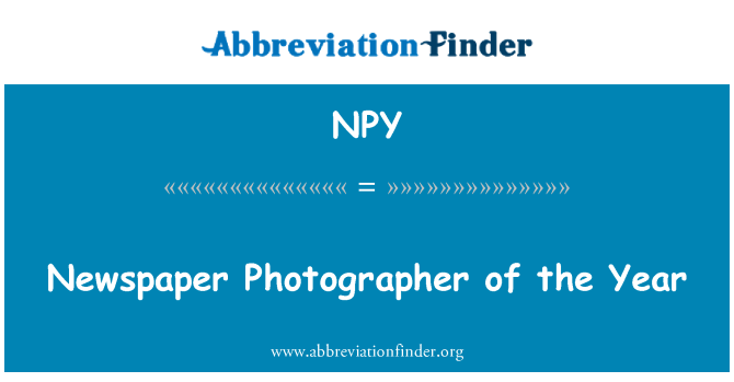 NPY: Newspaper Photographer of the Year