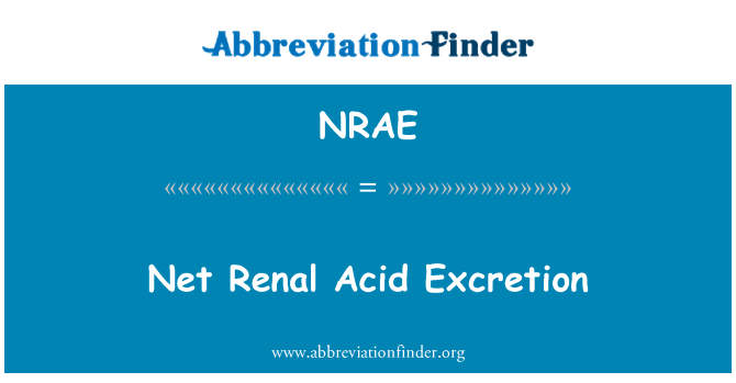 NRAE: נטו הפרשת חומצה כליות