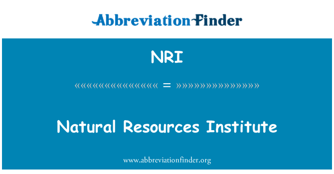 NRI: מכון משאבים טבעיים