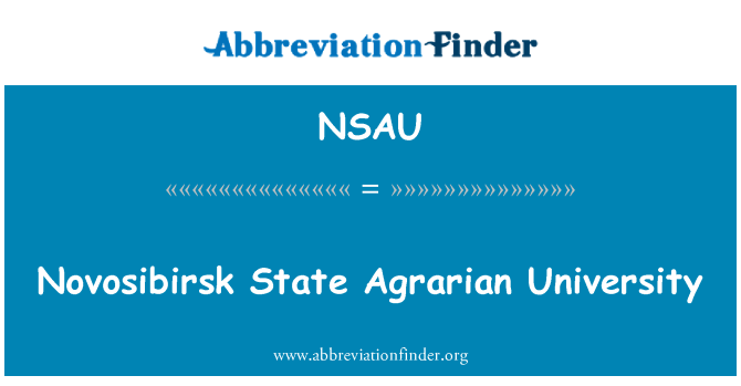 NSAU: Novosibirsk država stitucij Univerza